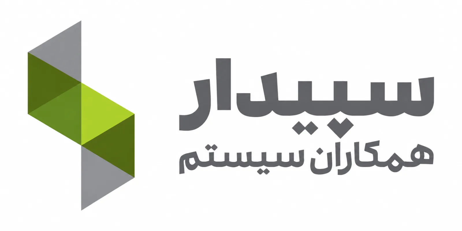 حسابداری سپیدار